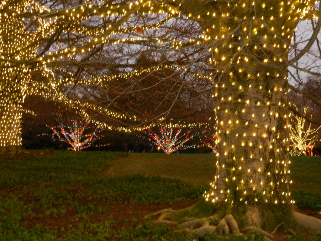 Longwood Gardens