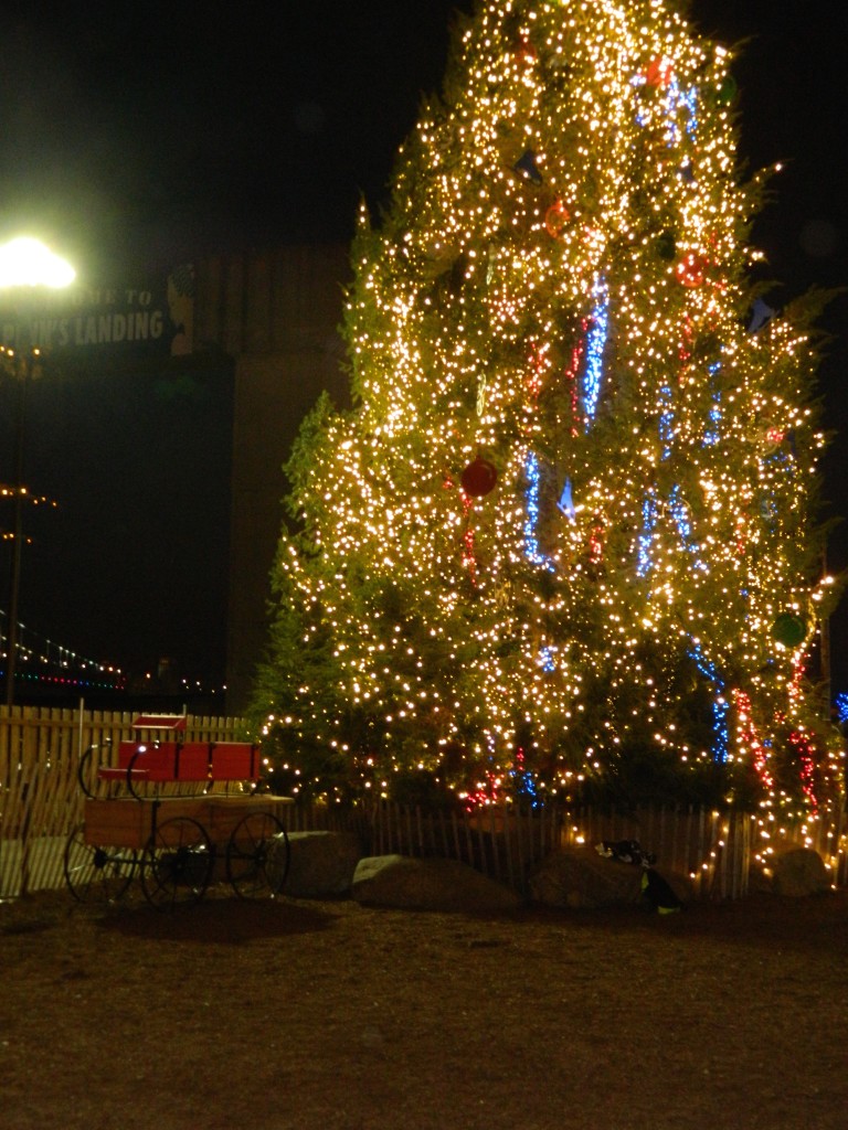 Blue Cross Riverrink 