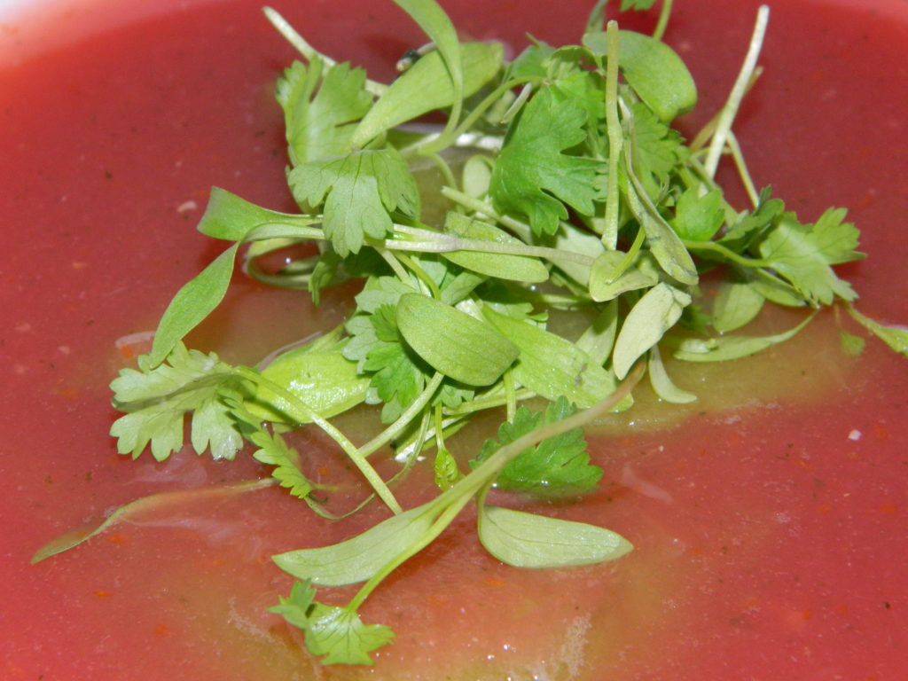 Watermelon gazpacho